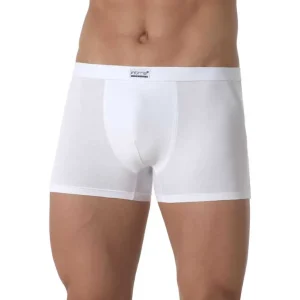 Boxer